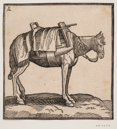 Ein gesatteltes Tragepferd von Melchior Lorck