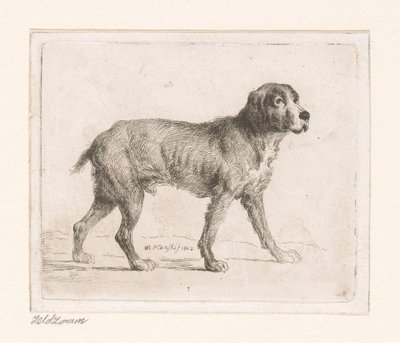 Hund von Michał Płoński