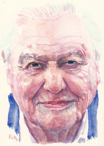 Sir David Attenborough von Michael Frith