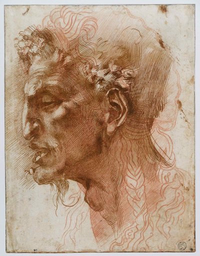 Kopf eines Satyrs von Michelangelo Buonarroti