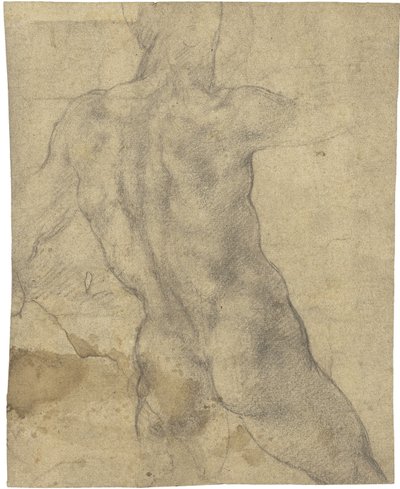 Männlicher Akt von Michelangelo Buonarroti