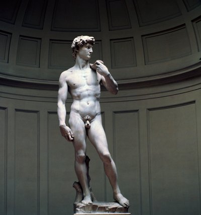 Michelangelos David, 16. Jahrhundert von Michelangelo Buonarroti
