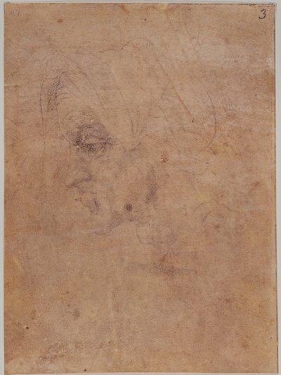 Profil einer alten Frau von Michelangelo Buonarroti