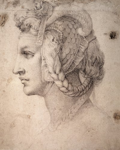 Studie eines Kopfes von Michelangelo Buonarroti