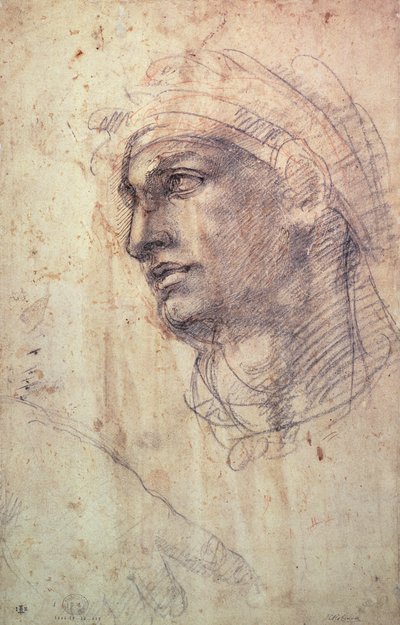 Studie eines Kopfes von Michelangelo Buonarroti