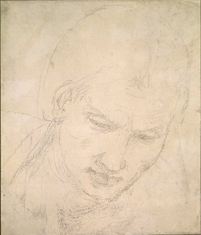 Studie eines Kopfes, ca. 1490-1560 von Michelangelo Buonarroti