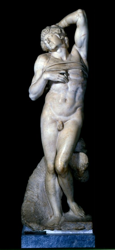 Der sterbende Sklave, 1513-15 von Michelangelo Buonarroti