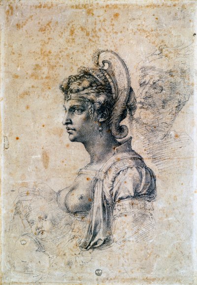 Zenobia von Michelangelo Buonarroti