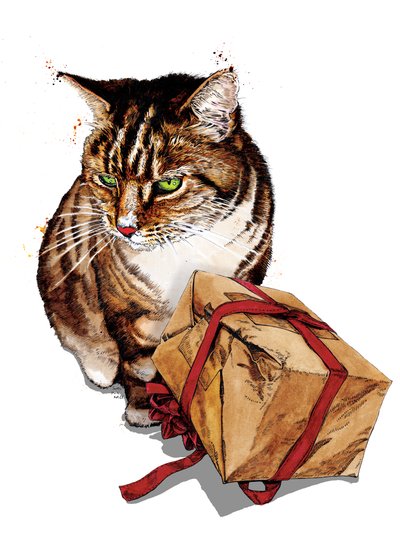Geburtstags-Katze auf Weiß, 2020 von Mike Davis