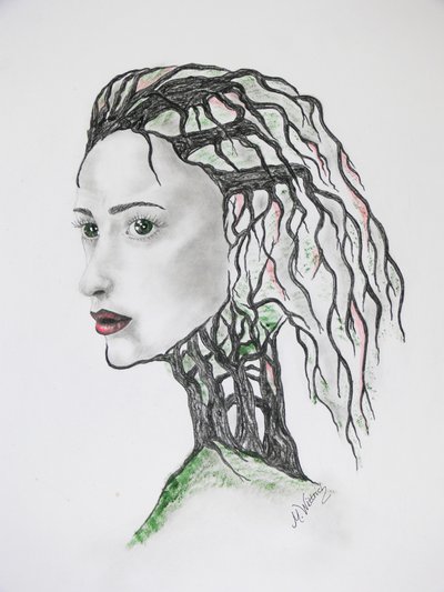 Baumsterben von Monika Wittrich