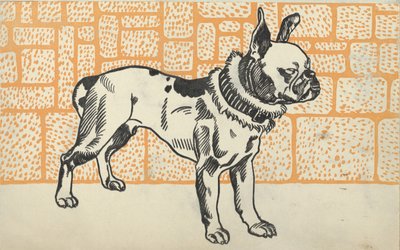 Pitbull Terrier von Moritz Jung