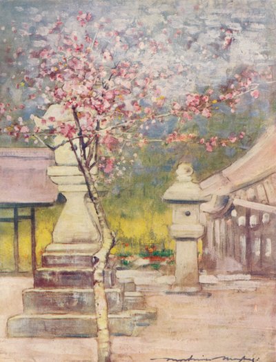 Pfirsichblüte, ca. 1887, 1901 von Mortimer L Menpes