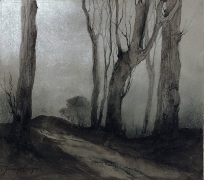 Schatten der Nacht von Nesta Jennings Campbell