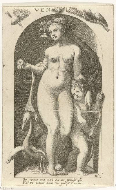 Venus von Nicolaas Braeu
