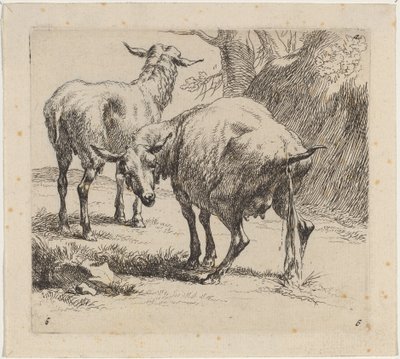 Zwei Schafe, eines pinkelt von Nicolaes Berchem