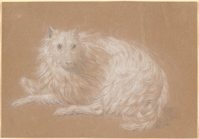 Ein liegender langhaariger Hund von Nicolai Abildgaard