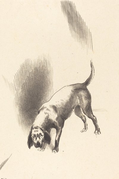 Der Hund von Odilon Redon