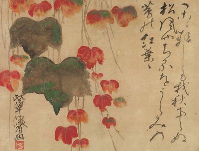 Herbst-Efeu, nach 1732 von Ogata Kenzan