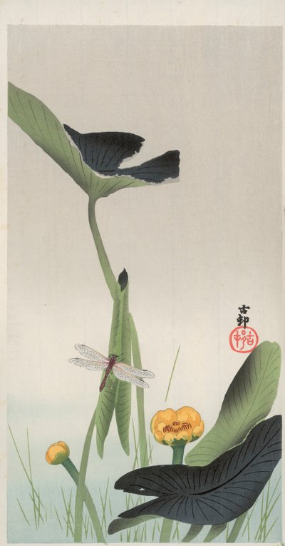 Libelle und Lotus von Ohara Koson