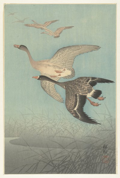 Nonnengänse im Flug von Ohara Koson