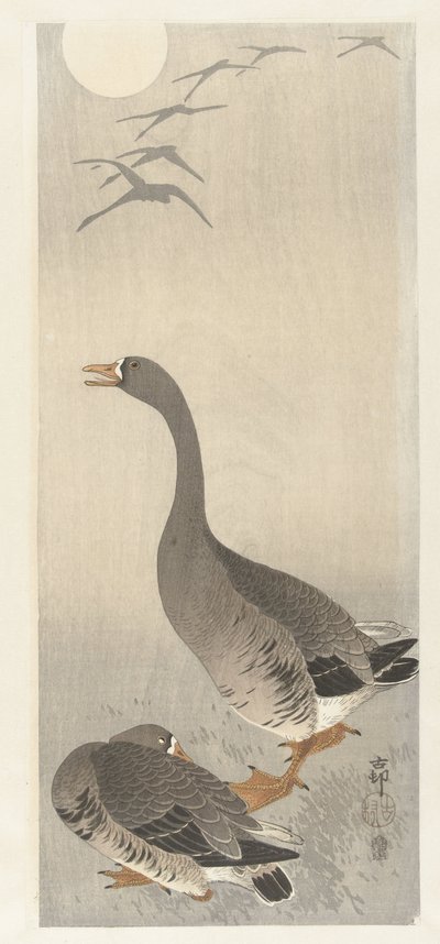 Zwei Gänse von Ohara Koson