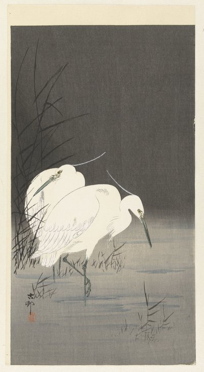 Zwei Silberreiher im Schilf von Ohara Koson