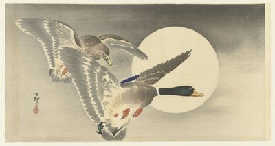 Zwei Enten mit Vollmond von Ohara Koson