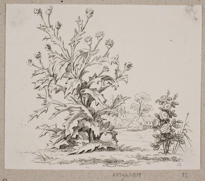 Die Distel und die Rose von Oluf Olufsen Bagge