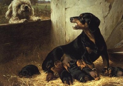 Der unwillkommene Besucher von Otto Bache
