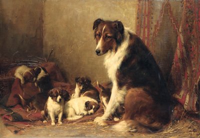 Ein Collie mit ihren Welpen von Otto Eerelman