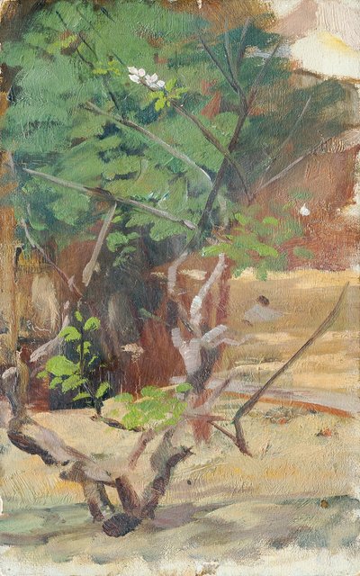 Verästelter, junger Baum mit zwei Blüten von Otto Friedrich