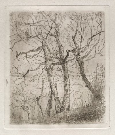 Bäume, 1878 von Otto H. Bacher