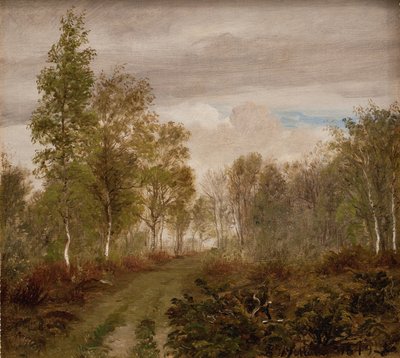 Birken auf Læsø nach dem Regen von P.C. Skovgaard