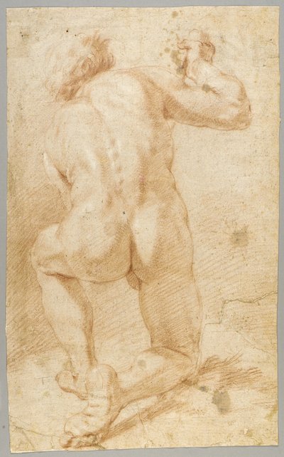 Zeichnung von Paolo de Matteis