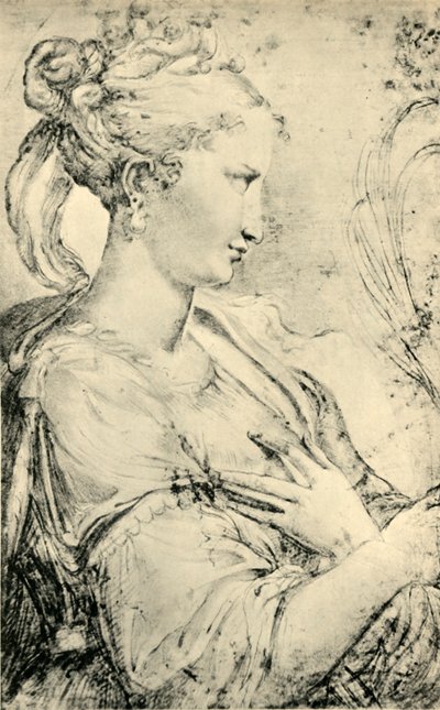 Studie der Heiligen Katharina, ca. 1530-1540, 1943 von Parmigianino