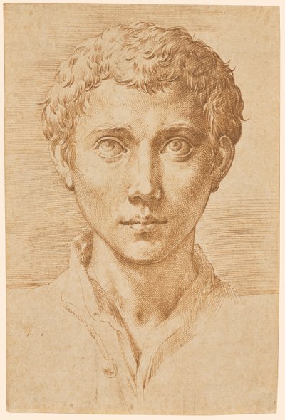 Der Kopf eines jungen Mannes von Parmigianino