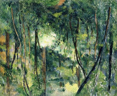Unterholz, ca. 1885 von Paul Cézanne