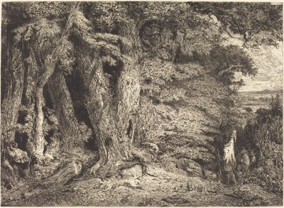 Eingang zum Wald von Paul Huet