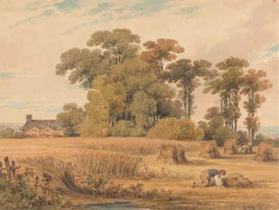 Ein Kornfeld von Paul Sandby Munn