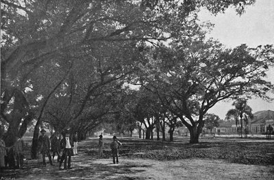 Avenida de Tiradentes, 1895 von Paulo Kowalsky