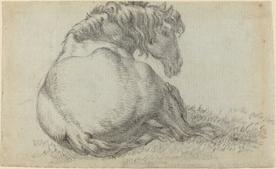 Ruhendes Pferd von Paulus Potter