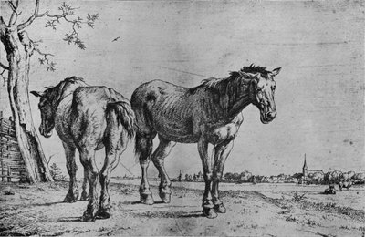 Die zwei Pflugpferde, 1652 von Paulus Potter