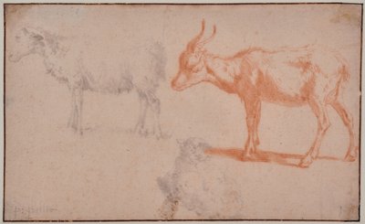 Zwei Schafe und eine Ziege (Tierstudien) von Paulus Potter