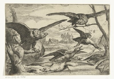 Raubvögel von Peeter Boel