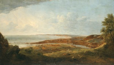 Swansea von Penry Williams