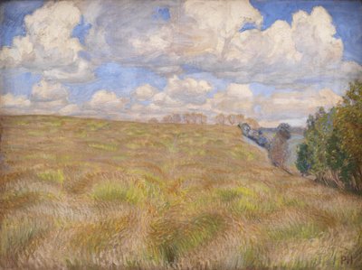 Ein Feld mit wogendem Roggen von Peter Hansen