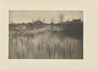 Ein schilfiges Ufer von Peter Henry Emerson