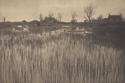 Ein schilfiges Ufer von Peter Henry Emerson
