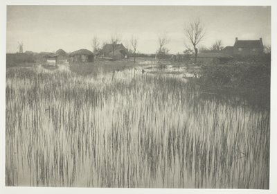 Ein schilfiges Ufer von Peter Henry Emerson