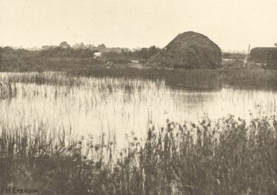 Herbstfluten von Peter Henry Emerson